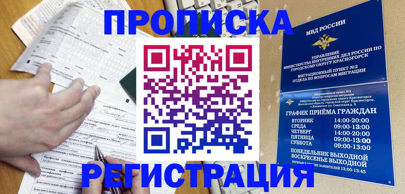 купить прописку в Щёлково